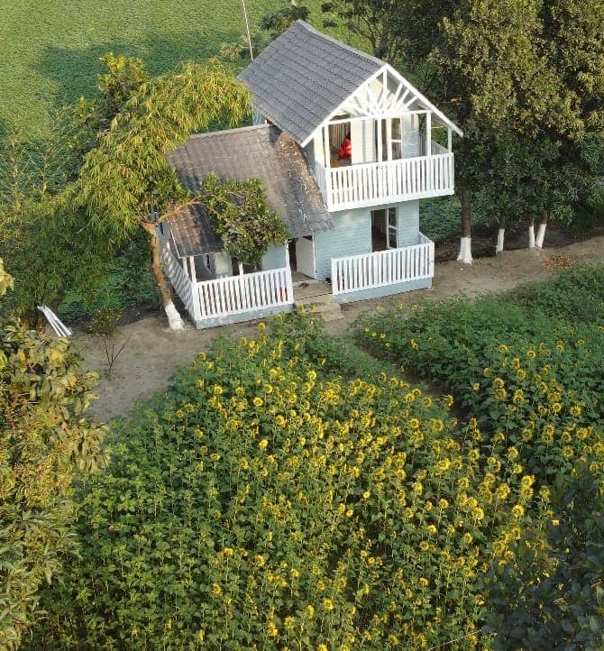 The cottage from above