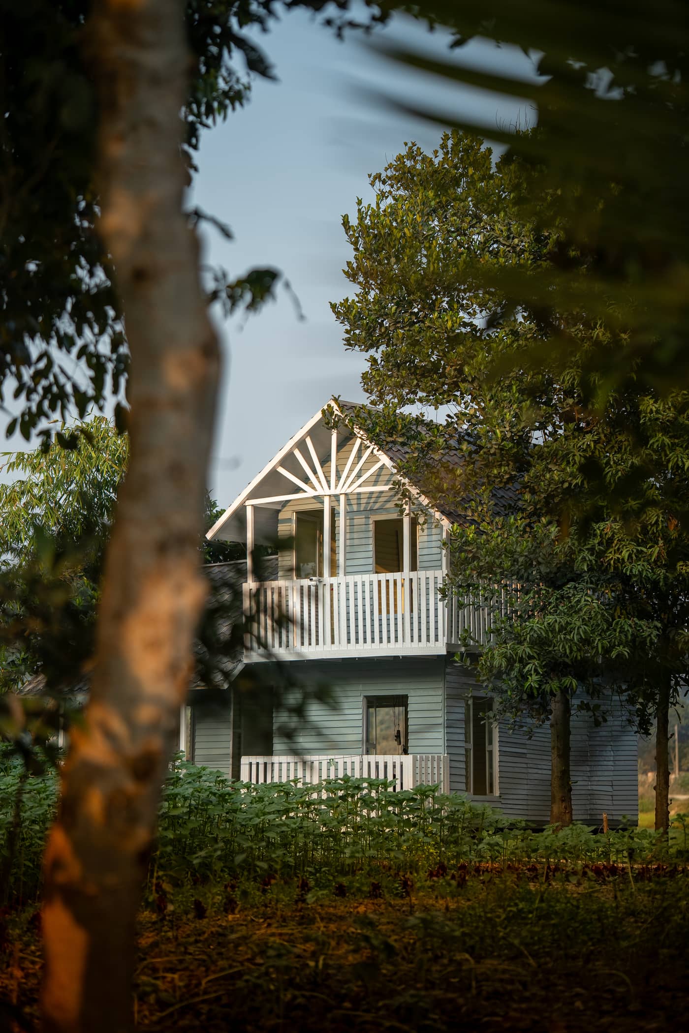 The cottage through the trees