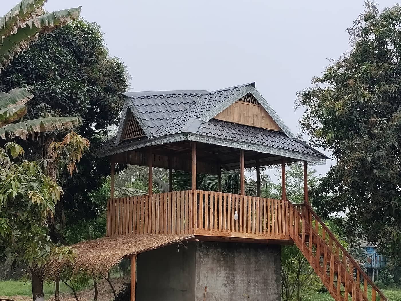 The treehouse pavilion