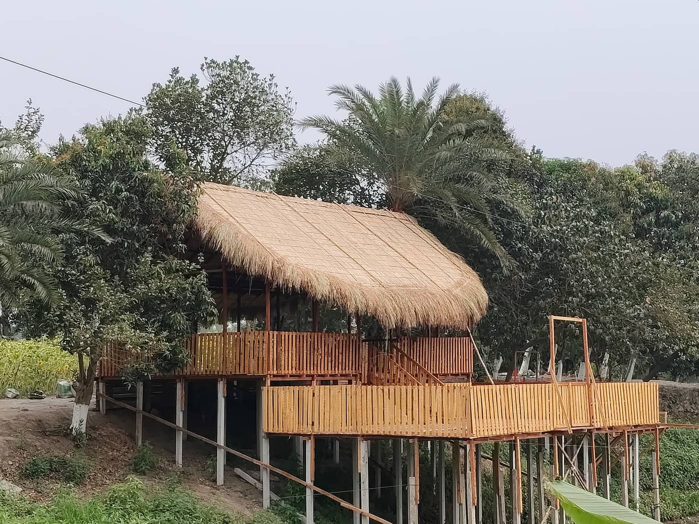 Thatched treehouse